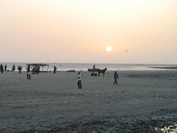 L'arrivée des pêcheurs à Mbour (Sénégal)