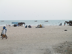 L'arrivée des pêcheurs à Mbour (Sénégal)