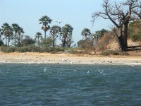 la Petite Côte (Sénégal)