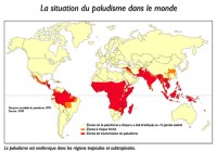 zone mondiale du paludisme (malaria)