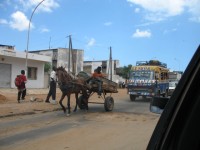 charette à cheval Sénégal